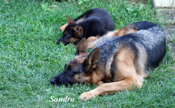 Fattrice Sandra Lockruf