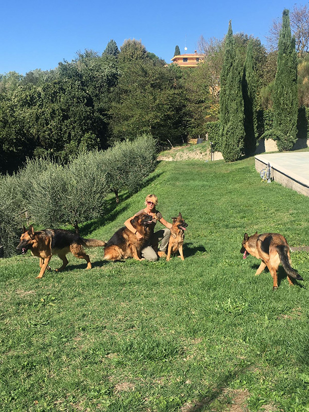 Una veduta del Parco Allevamento Pastore Tedesco Lockruf